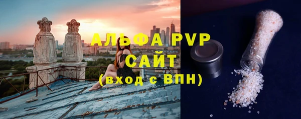 трава Карпинск