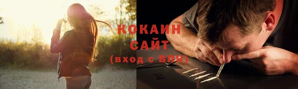 трава Карпинск