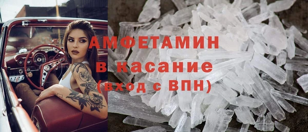 трава Карпинск