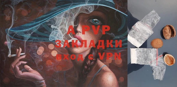 трава Карпинск